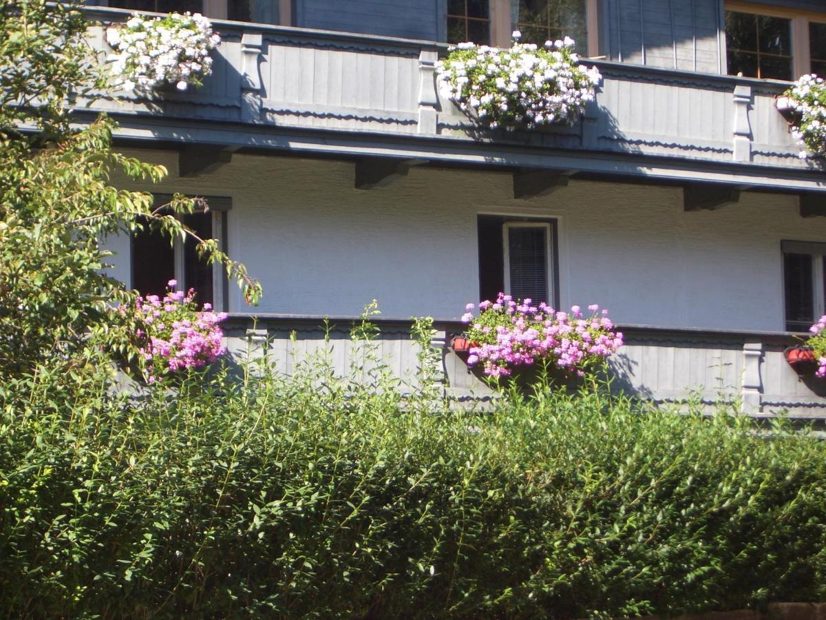 Appartement Meckyheim à Mayrhofen Extérieur photo